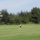 금해여행사