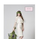 베일veil