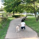 풍산지구3호공원 이미지