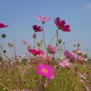 한강시민공원 이미지