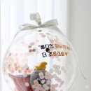 벌룬팩 네이버블로그