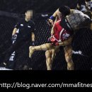 세렌디 피티 짐 이미지