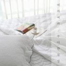 찬스바이오 이미지