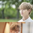 묘한 하루 이미지