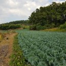 송시마을회관 이미지