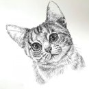 꿈나무미술학원 이미지