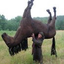 몽산포 야영장 이미지