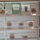 샌드위치&샐러드 이미지