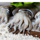 조양물산 이미지