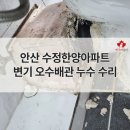 안산 선부동 수정한양아파트 변기 오수배관 누수 수리 타일 줄눈 재시공 후기