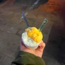 꼼비노 | 모슬포 디저트 젤라또 가게 꼼비노 후기