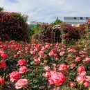 시민근린공원 입구 이미지