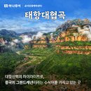 드림온투어
