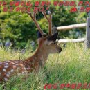 형제파크 이미지