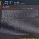 초원축산 | 제주마방목지 방문 후기 (제주 가볼만한 곳)