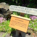 제주민속촌 이미지