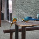 아프리카 7개국 종단 배낭여행 이야기(66)....나미비아...