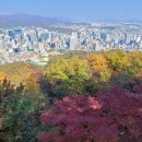 개미행정사 네이버블로그
