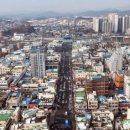 차 없는 거리 문화행사 이미지