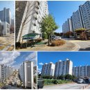 주공2차아파트 Daum카페