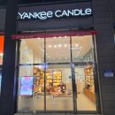 천안 불당동 스승의날 선물 양키캔들 천안불당점 디퓨저 구매 후기
