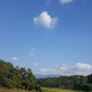 백운행정사사무소 이미지