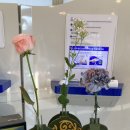 하늘꿈 지역아동센터 이미지