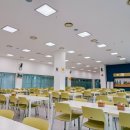 진등3길 | 국회고성연수원 실제 이용 후기 | 전망, 시설, 식사까지 정리