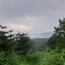 죽엽산농장 이미지