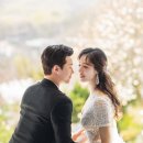 메리드플라워