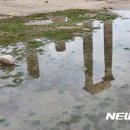 신전기사