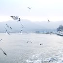 석포리선착장 이미지