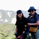 준식농장 이미지