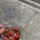 최지원 농장 이미지