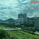 리치탑부동산중개사무소 이미지