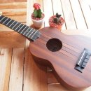 [주말]우쿨렐레 이미지