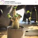 서우 농장 이미지