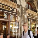 플로리안(6) 이미지