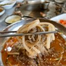 세화탐나는도새기