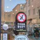 동백세탁 | [동백동 셀프빨래방] 아쿠아워시 동백점 내돈내산 이용 후기