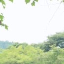 홍천로_1 이미지