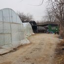 대곡농로 이미지