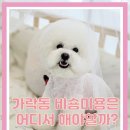 개성있냥 네이버블로그