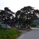오천1리경로당 티스토리