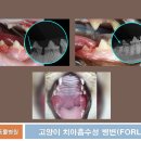 워너비 동물병원 이미지