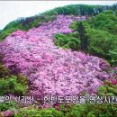 산림약국 이미지