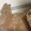 케이삼백 | 2월이 오줌 싸듯이 그냥 다 지나갔네……