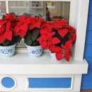 분당구청 이미지