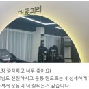 매료피티 이미지