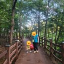 제암 | 보성자연휴양림 제암휴양관 가족나들이 다녀온 후기